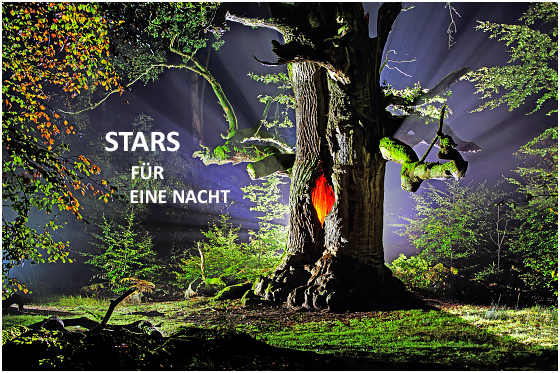 Stars für eine Nacht